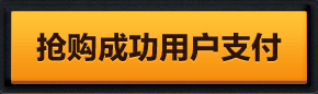 抢购成功用户支付